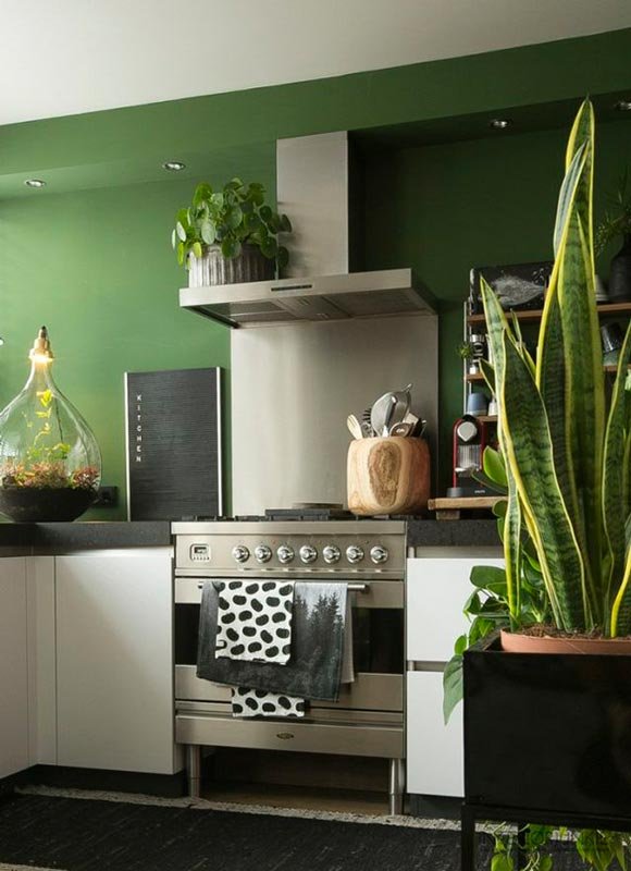 Decorar la cocina con plantas Plantas en la cocina