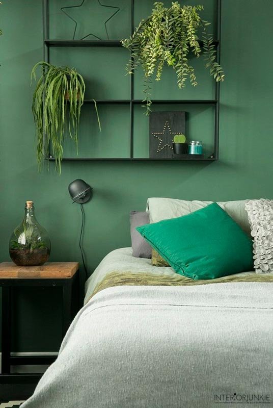 Decorar con plantas colgantes. Verde grennery