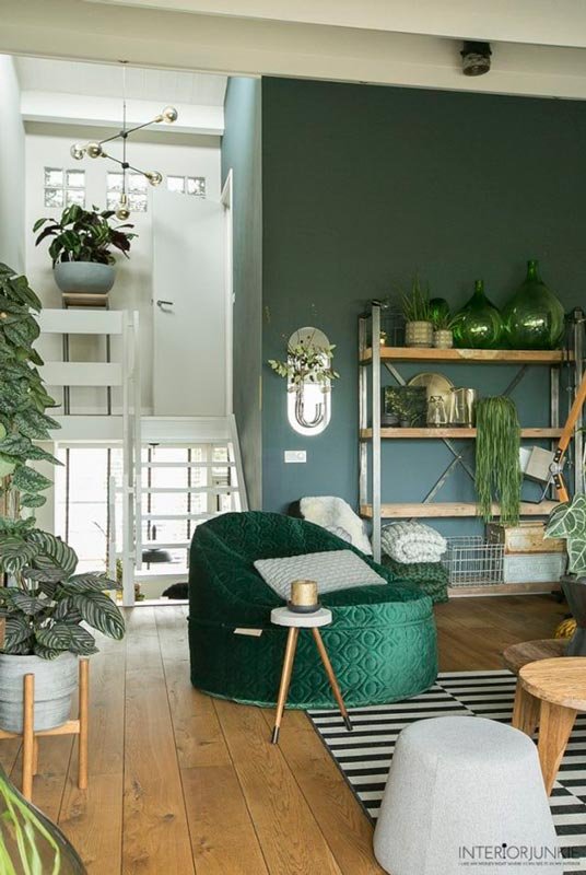 Decoración con plantas del salón