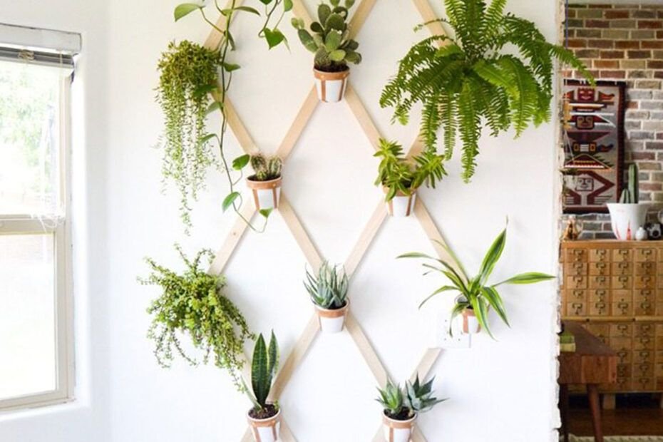 DIY para Decorar con plantas de interior