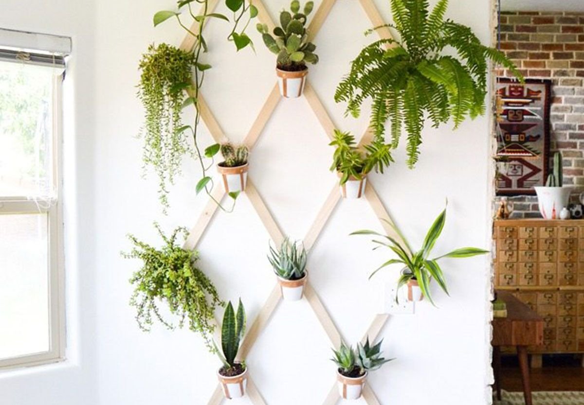 DIY para Decorar con plantas de interior