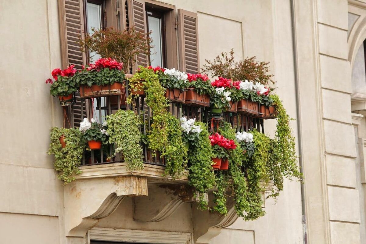 Cómo decorar balcones y terrazas con plantas