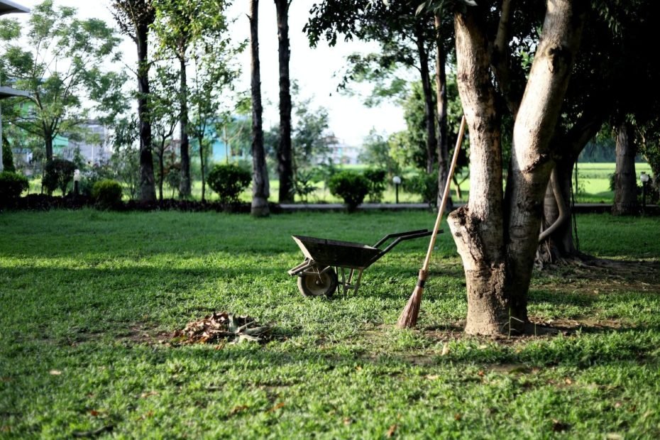 cómo mantener tu jardín