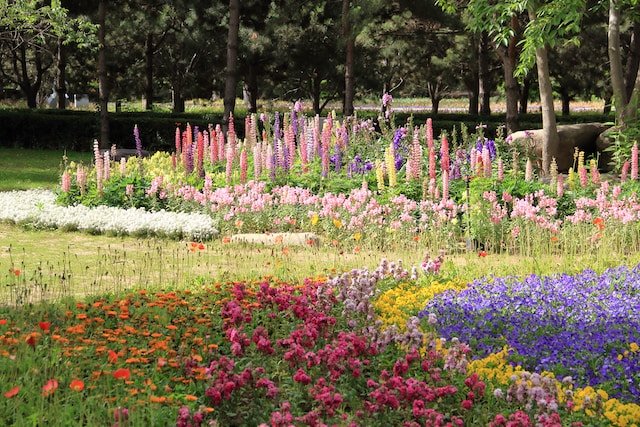 plantas resistentes de exterior