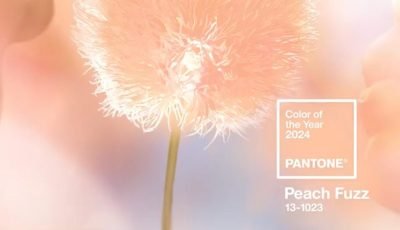 Color Pantone 2024: Peach Fuzz (cómo es y cómo decorar con él)