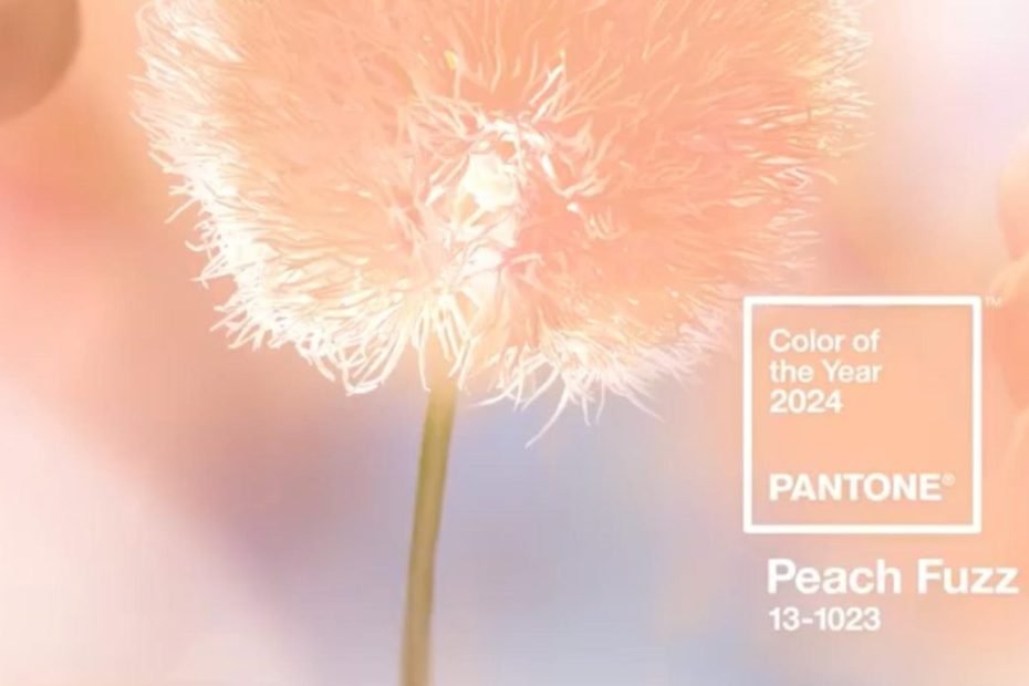 Color Pantone 2024: Peach Fuzz